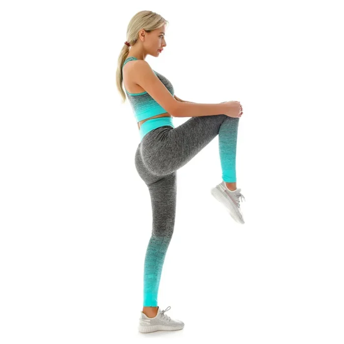 2 Piece Sets Womens Outfits Yoga Set Elastic Gradual Changing Sports Bra Tights - Image 3